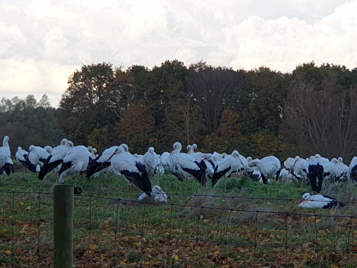 Buitenplaats Reestdal IJhorst Exterior foto
